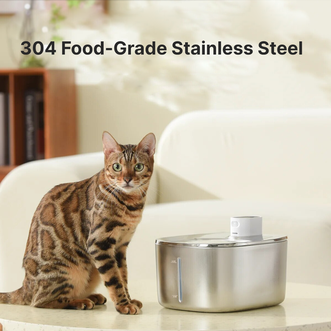 KittySpout Wireless Fountain
