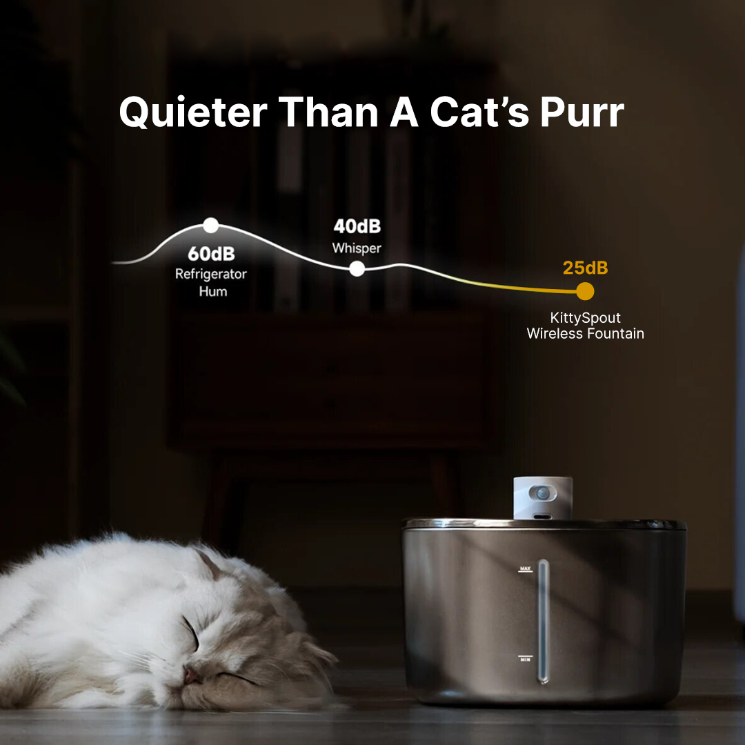 KittySpout Wireless Fountain