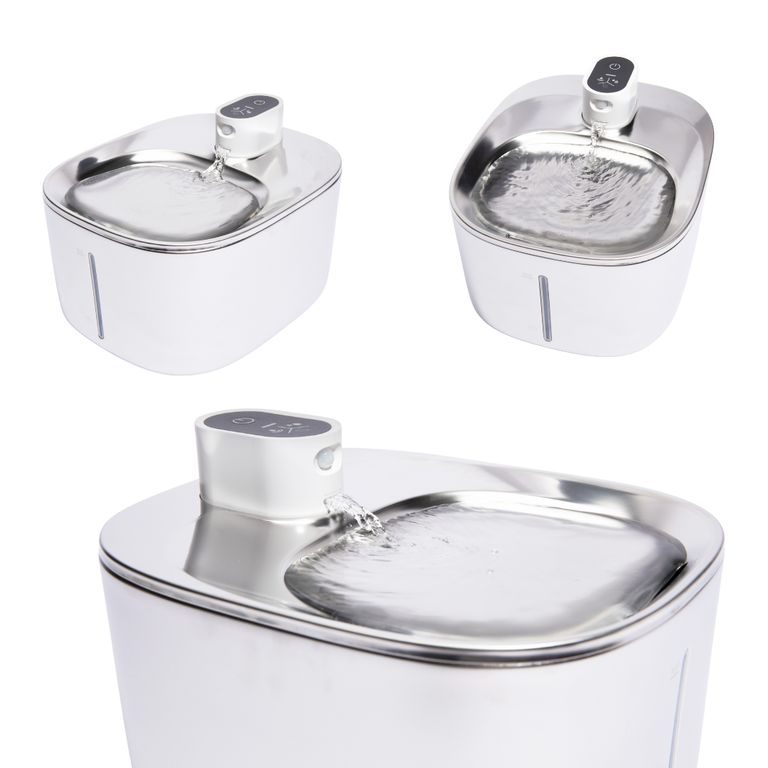KittySpout Wireless Fountain