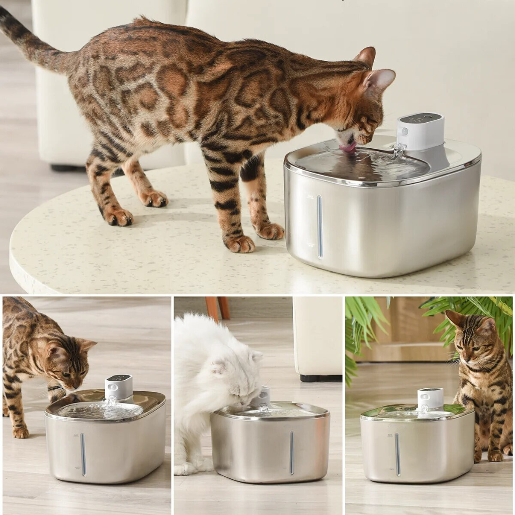 KittySpout Wireless Fountain